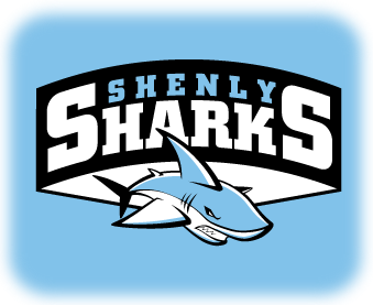 School Spirit Design