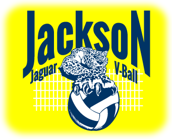 Custom Volleyball Designs